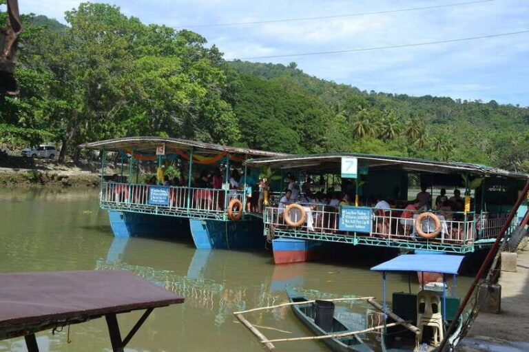 Bohol: Loboc River Buffet-Lunch Cruise with Private Transfer - Who Should Consider This Tour?