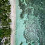 Bohol, Philippines: Pamilacan Island Tour with Dolphins - The Practicalities: What to Expect