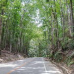 Bohol: Private Countryside Tour with Buffet Lunch - A Practical Guide to the Bohol Countryside Experience