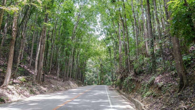 Bohol: Private Countryside Tour with Buffet Lunch - A Practical Guide to the Bohol Countryside Experience