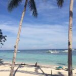 Bohol's Panglao Island Half Day Land & Half Day Island Hopping (Cebu or Bohol) - Practical Details: What to Expect