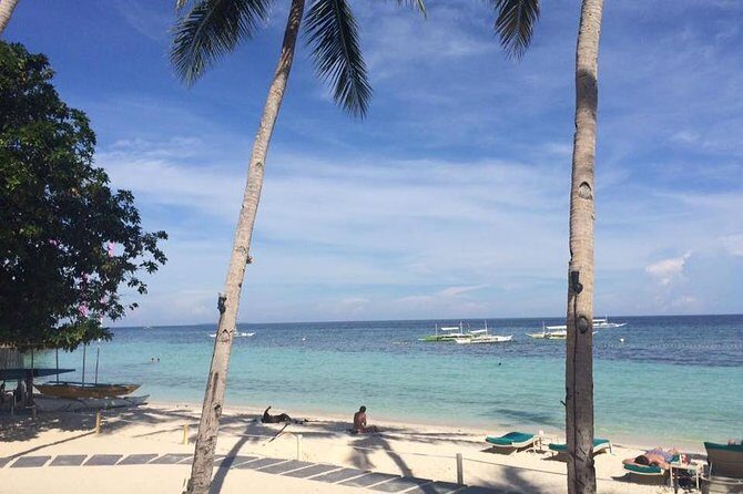 Bohol's Panglao Island Half Day Land & Half Day Island Hopping (Cebu or Bohol) - Practical Details: What to Expect