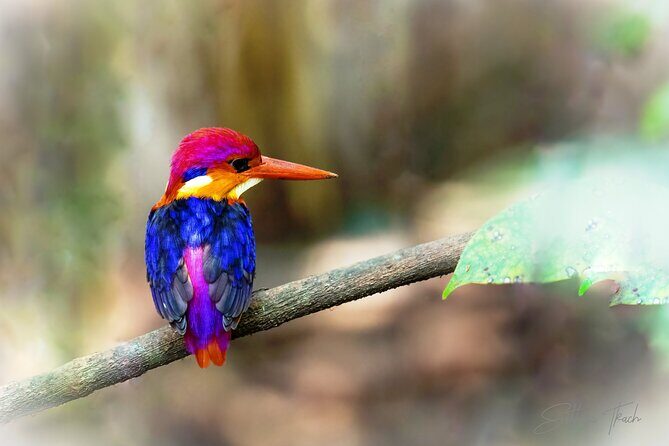 Bondla Wildlife Sanctuary with Lunch in Spice Plantation in Goa - Transportation, Guides, and Overall Experience