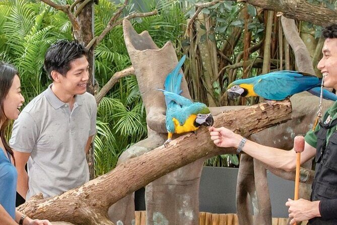 Breakfast In the Wild at Singapore Zoo Promo - Final Thoughts: Is It Worth It?