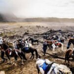 Bromo Adventure - Final Thoughts