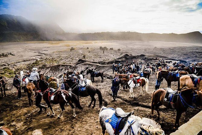 Bromo Adventure - Final Thoughts