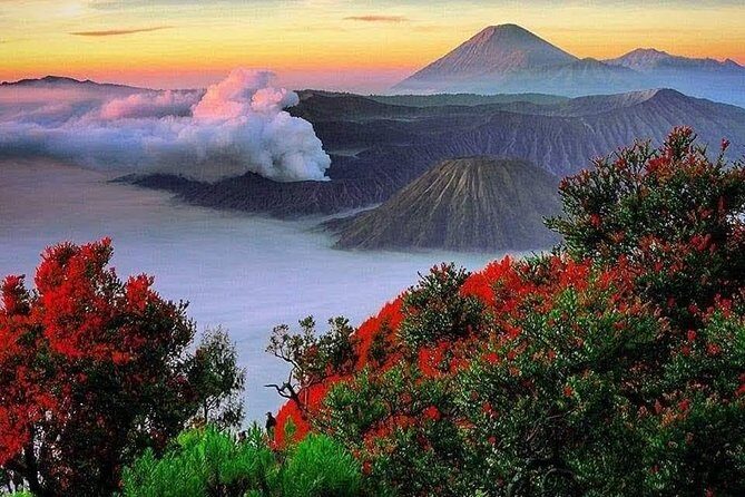 Bromo Ijen Tour From Bali - What’s Included and What’s Not