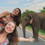 Budget Tours Sri Lanka with 7 Nights accommodation - Who Is This Tour Perfect For?