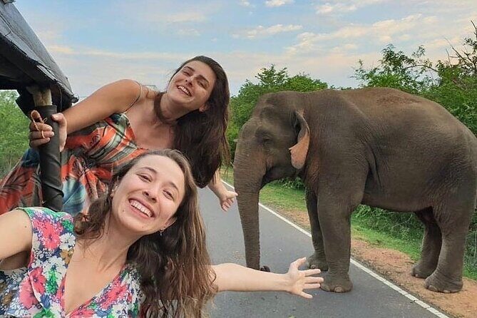 Budget Tours Sri Lanka with 7 Nights accommodation - Who Is This Tour Perfect For?