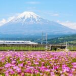 Bullet Train and Mt. Fuji Famous Food Tour - Exploring the Itinerary: What to Expect and Why It Matters