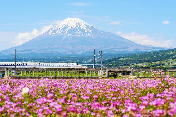 Bullet Train and Mt. Fuji Famous Food Tour - Exploring the Itinerary: What to Expect and Why It Matters