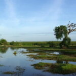 Bundala National Park by Ajith Safari - A Detailed Look at the Safari Experience