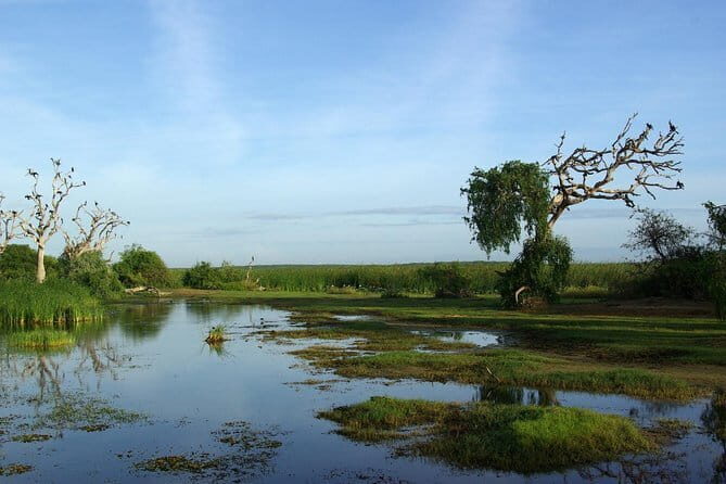 Bundala National Park by Ajith Safari - A Detailed Look at the Safari Experience
