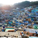 Busan Full-Day City Tour with Gamcheon Village, Sea Temple & more - Practical Details and What Travelers Say