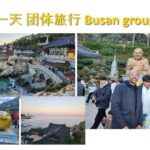 Busan Group Tour for Cruise ship passengers (Max 15 Guests) - Who Should Consider This Tour?