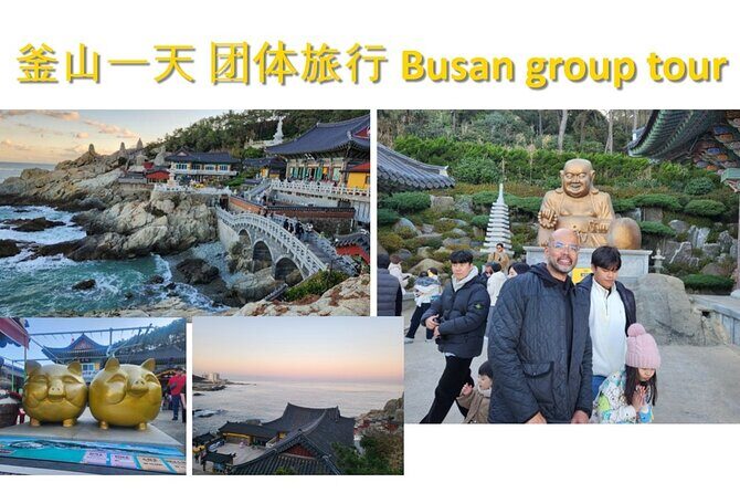 Busan Group Tour for Cruise ship passengers (Max 15 Guests) - Who Should Consider This Tour?