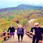Busan Private Hiking Tour : Panoramic Views Awaits - Final Thoughts