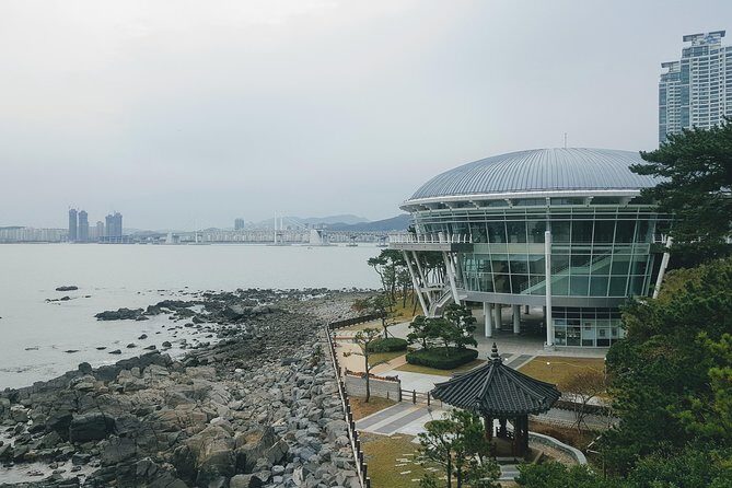 Busan Shore Excursion; Private City Tour - Practical Details That Matter