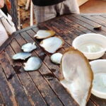 Cable Car and Landscape South in Phu Quoc Island - Who Will Love This Tour?