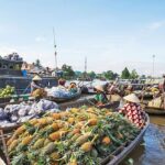 Cai Rang Floating Market - Mekong Delta 2 Days - VIP Private Tour - Who Should Consider This Tour?