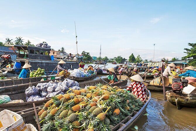 Cai Rang Floating Market - Mekong Delta 2 Days - VIP Private Tour - Who Should Consider This Tour?