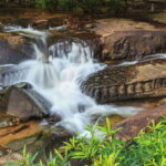 Cambodia Elephant Sanctuary and Banteay Srey Temple Tour - A Detailed Look at the Cambodia Elephant Sanctuary and Banteay Srey Tour