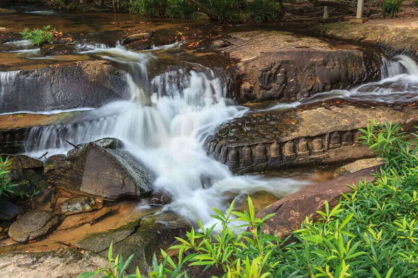 Cambodia Elephant Sanctuary and Banteay Srey Temple Tour - A Detailed Look at the Cambodia Elephant Sanctuary and Banteay Srey Tour
