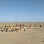 Camel Safari - Why We Think This Tour is a Great Value