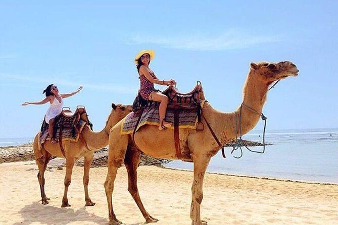 Camel Safari 30 minutes In White Sand Beach - Final Thoughts: Who Will Love This?