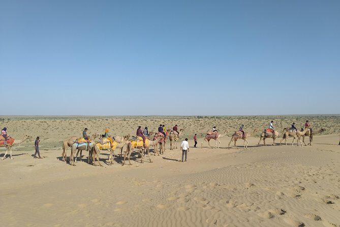 Camel Safari - Why We Think This Tour is a Great Value