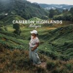 Cameron Highland Day Tour From Kuala Lumpur By Group - Who Should Consider This Tour?