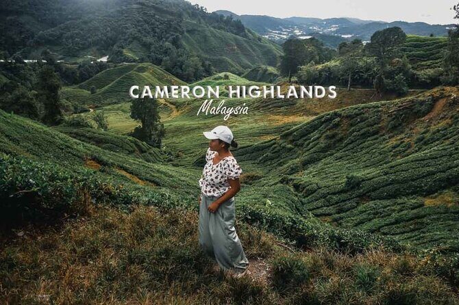 Cameron Highland Day Tour From Kuala Lumpur By Group - Who Should Consider This Tour?
