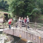 Cameron Highlands Day Trip - In-Depth Breakdown of the Itinerary