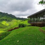 Cameron Highlands One Day Trip from Kuala Lumpur Privately Organised - Practical Tips for Your Trip