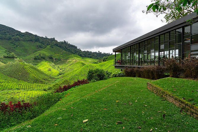 Cameron Highlands One Day Trip from Kuala Lumpur Privately Organised - Practical Tips for Your Trip