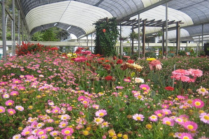 Cameron Highlands Sightseing Tour - Frequently Asked Questions