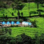 Camping Suriyaneli/Munnar Kerala - A Closer Look at What You Can Expect