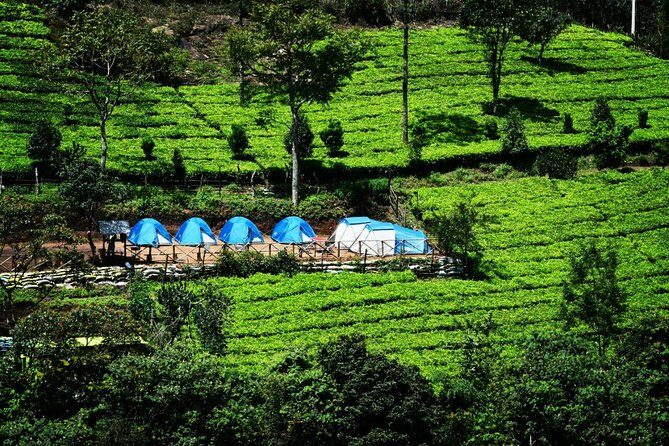 Camping Suriyaneli/Munnar Kerala - A Closer Look at What You Can Expect