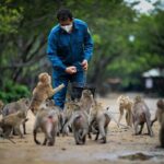 Can Gio: Discovery Vam Sat EcoPark - Can Gio Island Day Trip - The Authenticity and Practicality of the Tour