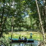Can Gio Mangrove Biosphere Reserve 1 day - In Summary