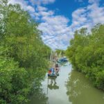 Can Gio Mangrove Forest 1 day tour - The Experience in Detail