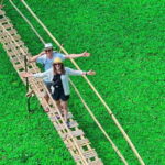 Can Tho: Floating Market & Lung Ngoc Hoang Nature Reserve - Transportation, Timing, and Group Size