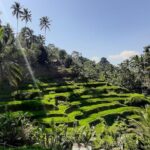 Candidasa Private Car with English Speaking Driver - Tegenungan Waterfall: Nature’s Refreshing Drop