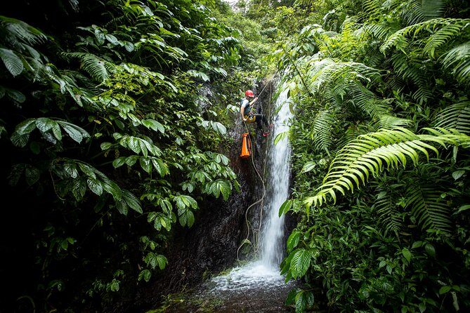 Canyoning Bali, Tamata Canyon (Adventure, discovery, nature) - What Makes This Tour Special?