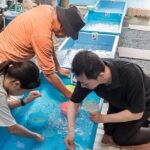 Castle Town Walking Tour with Local Sweets and Sake Tasting - Final Words