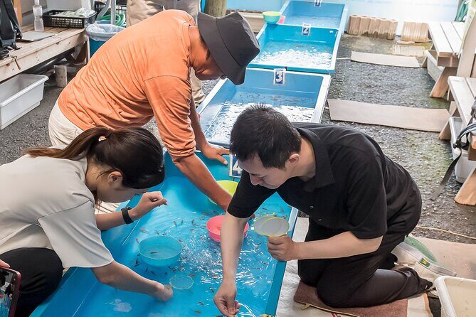 Castle Town Walking Tour with Local Sweets and Sake Tasting - Final Words