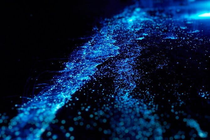 Cat Ba: Sunset & Bioluminescent Kayaking on Lan Ha Bay - Who is This Tour Perfect For?