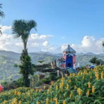 Cebu City with Sirao Garden Half Day Tour - A Detailed Look at the Tour Experience