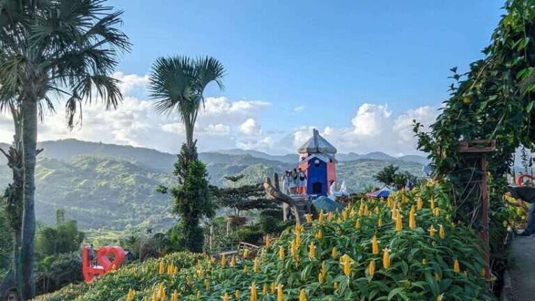 Cebu City with Sirao Garden Half Day Tour - A Detailed Look at the Tour Experience