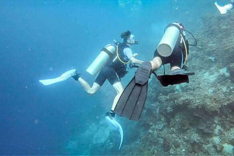 Cebu: Moalboal Scuba Diving, Sardines Run & Pescador Snorkel - The Sum Up: Who Should Consider This Tour?